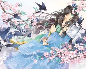 家庭摄像头